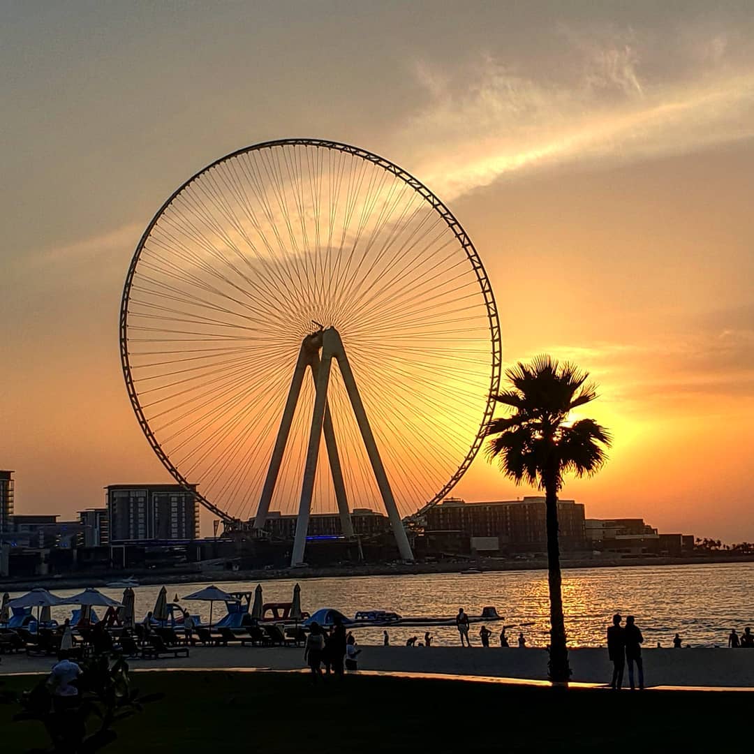 Dubai's giant observation wheel, Ain Dubai with an orange sunset in the background and a palm tree in the foreground. The observation wheel is set on a manmade island next to a beach. 