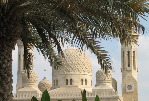 This image captures the intricate dome and minarets of Jumeirah Mosque in Dubai, framed by palm tree leaves, against a soft blue sky.