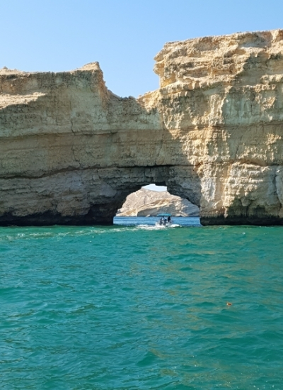 Things to do in Muscat: Dolphin Tour