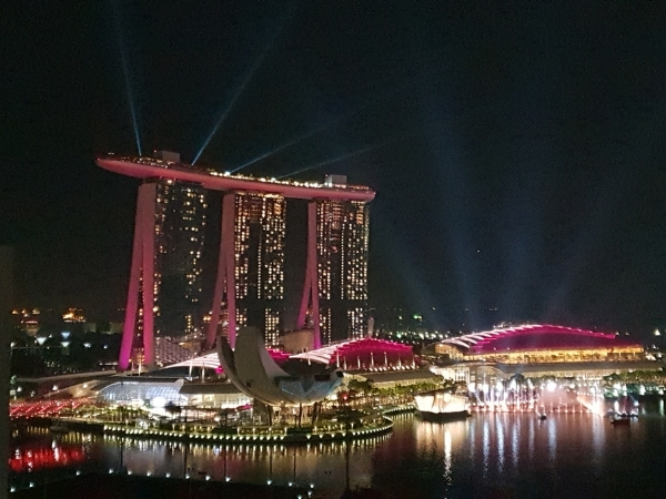 Things to do in Singapore: Marina Bay Sands Lightshow