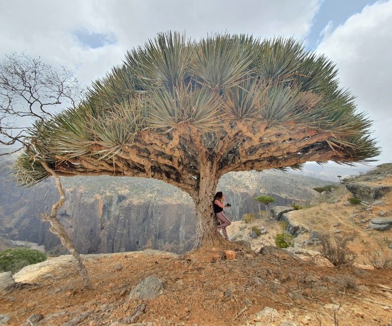 Visit Socotra