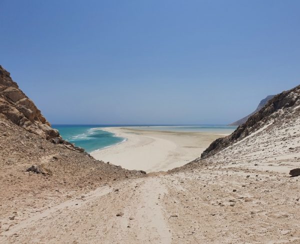 Socotra: white sandy beach