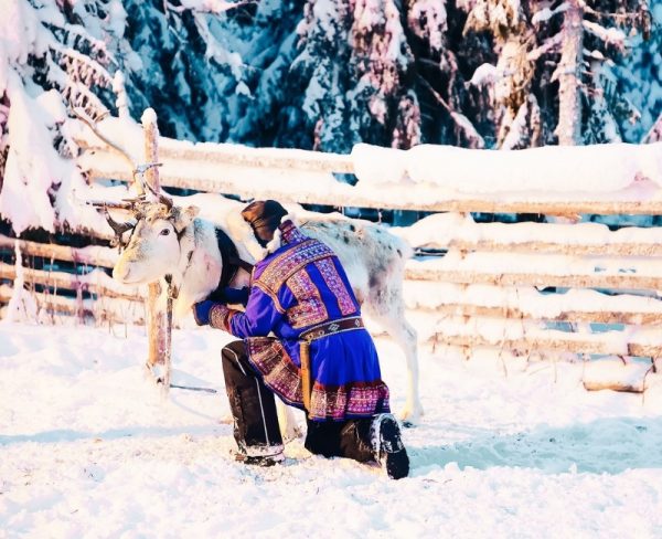 Finnish Lapland in Winter: Sami and reindeer