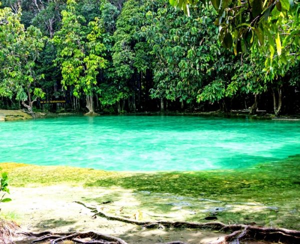 Thailand bucket list: Emerald Pool Krabi