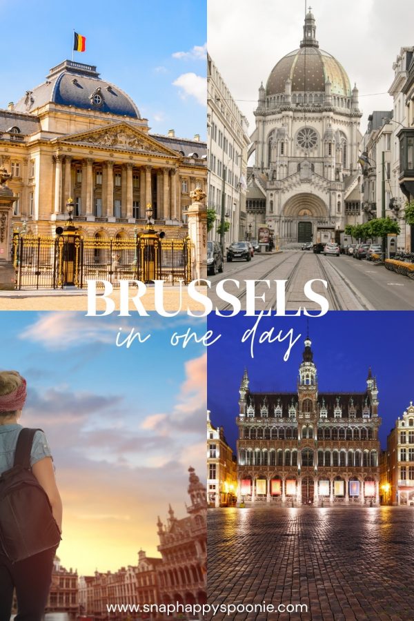 One day in Brussels pinterest pin