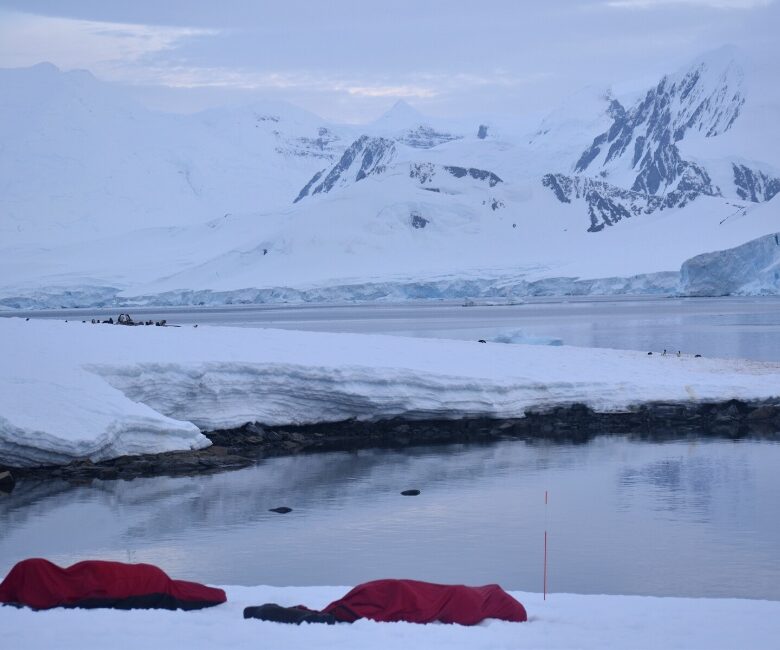 Camping in Antarctica featured image