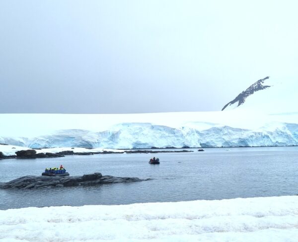 Things to do in Antarctica: Zodiac Tours