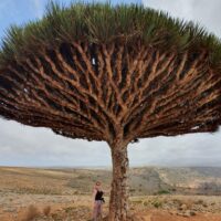 Things to do in Socotra featured Img