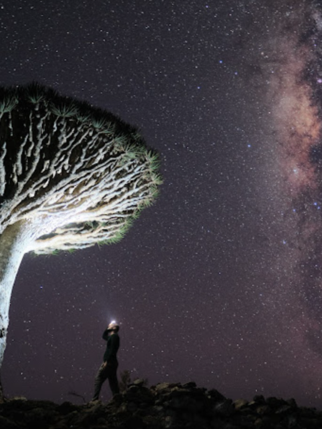 Stefano Socotra Image